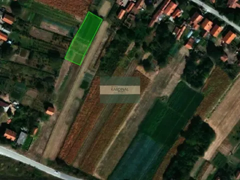 Prodaja, plac, 3426m², Mijatovac, Ćuprija - image 3