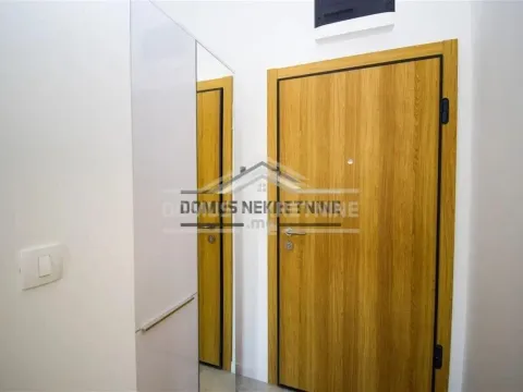 Izdavanje, jednosoban stan, 46m², Vezirov Most, Podgorica - image 8