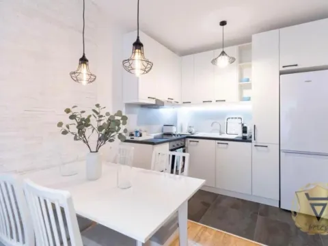 Izdavanje, jednosoban stan, 43m², Južni Bulevar, Vračar Sve Podlokacije - image 5