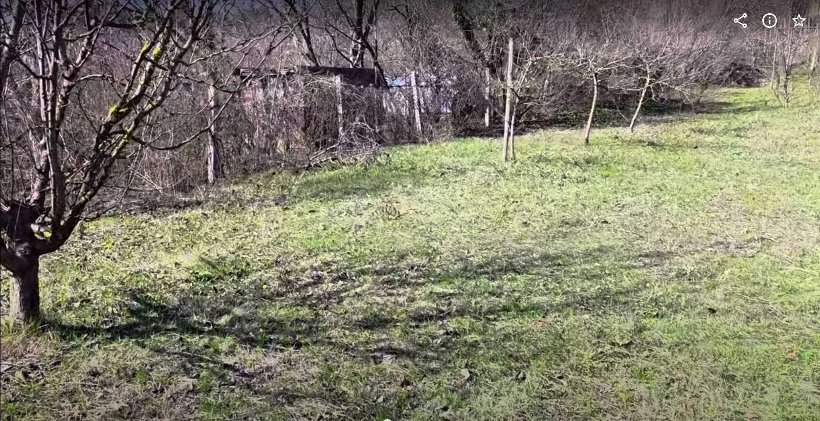 Pogled na plac sa travnatom površinom i drvećem.