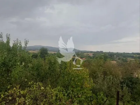 Prodaja, kuća, 226m², Koraćica, Mladenovac - image 3