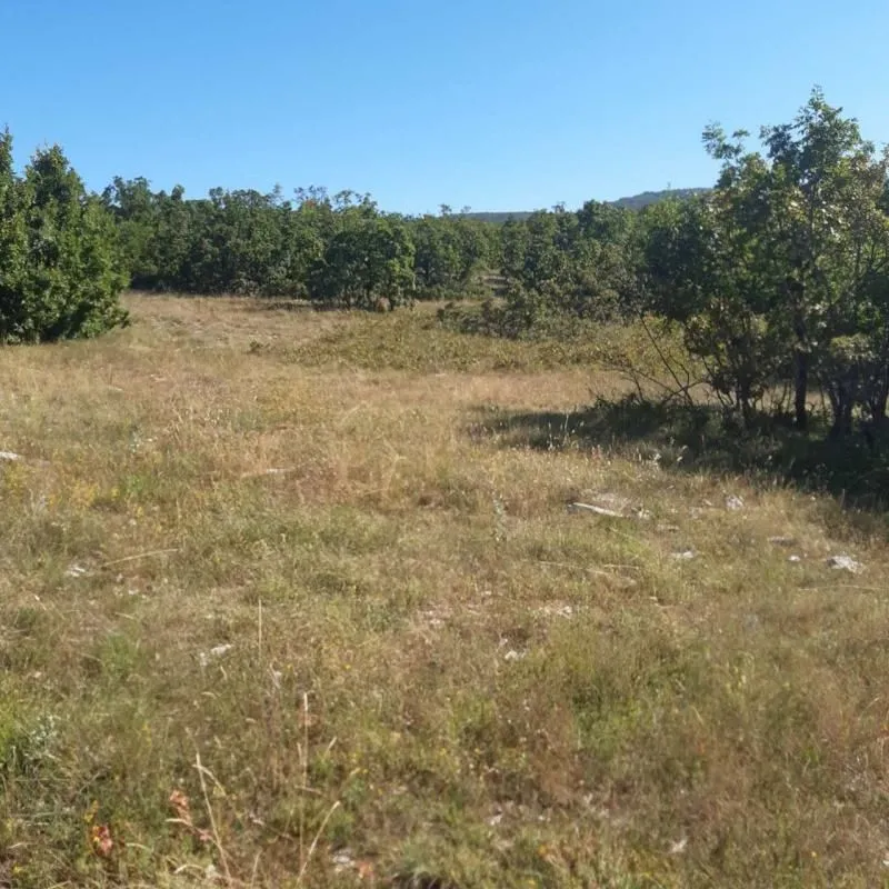 Prodaja, plac, 36000m², Nikšić, Crna Gora