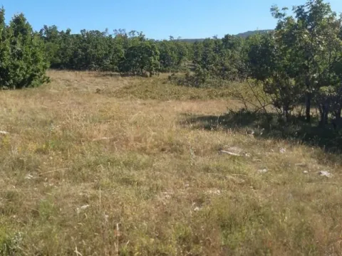 Prodaja, plac, 36000m², Nikšić, Crna Gora - image 4