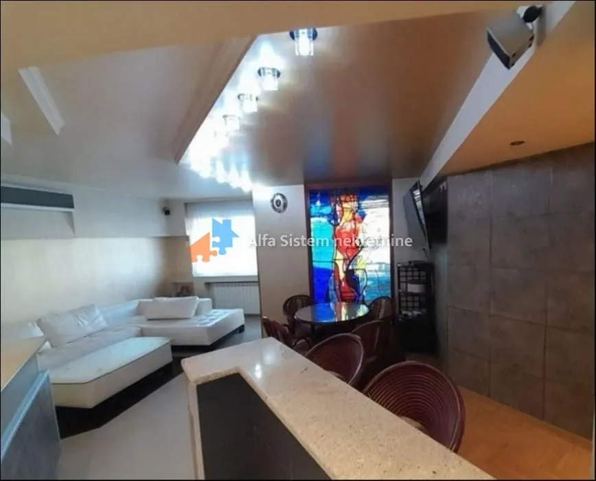 Izdavanje, dvosoban stan, 66m², Južni Bulevar, Vračar Sve Podlokacije