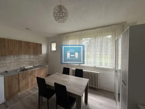 Izdavanje, garsonjera, 22m², Sarina Medja, Jagodina - image 4