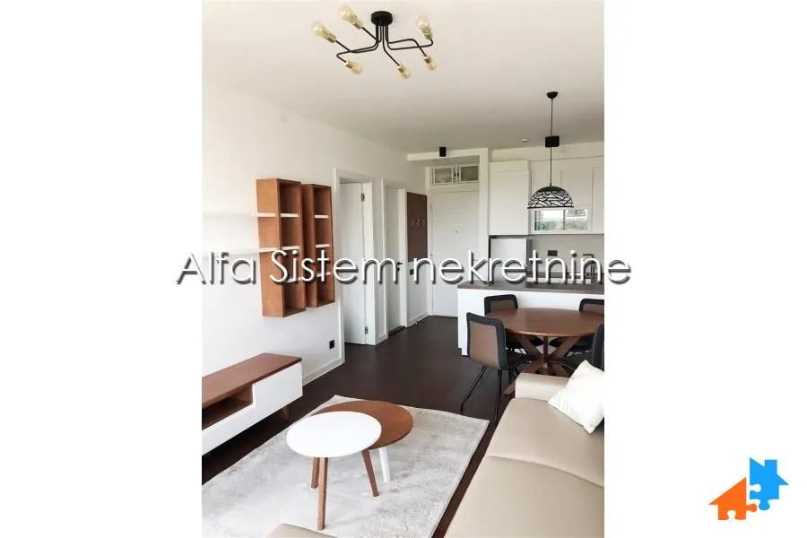 Izdavanje, dvosoban stan, 48m², Novi Beograd Blok 67, Novi Beograd Sve Podlokacije