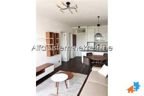 Izdavanje, dvosoban stan, 48m², Novi Beograd Blok 67, Novi Beograd Sve Podlokacije - image 5