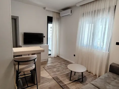 Izdavanje, garsonjera, 18m², Zabjelo, Podgorica - image 4