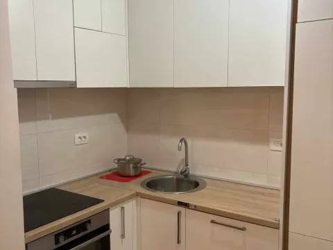 Izdavanje, jednosoban stan, 47m², Central Point, Podgorica - image 11