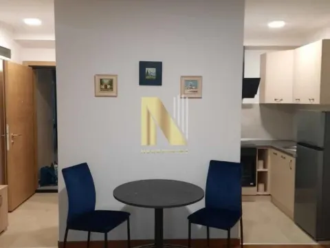 Rent, studio apartment, 25m², Telep, Novi Sad Sve Podlokacije - image 6