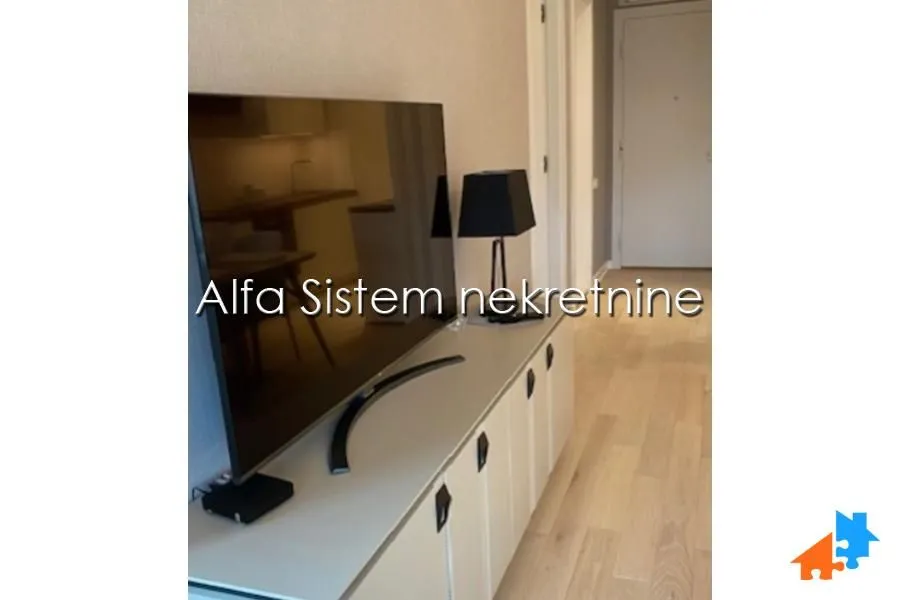 Izdavanje, dvosoban stan, 50m², Novi Beograd Blok 67, Novi Beograd Sve Podlokacije
