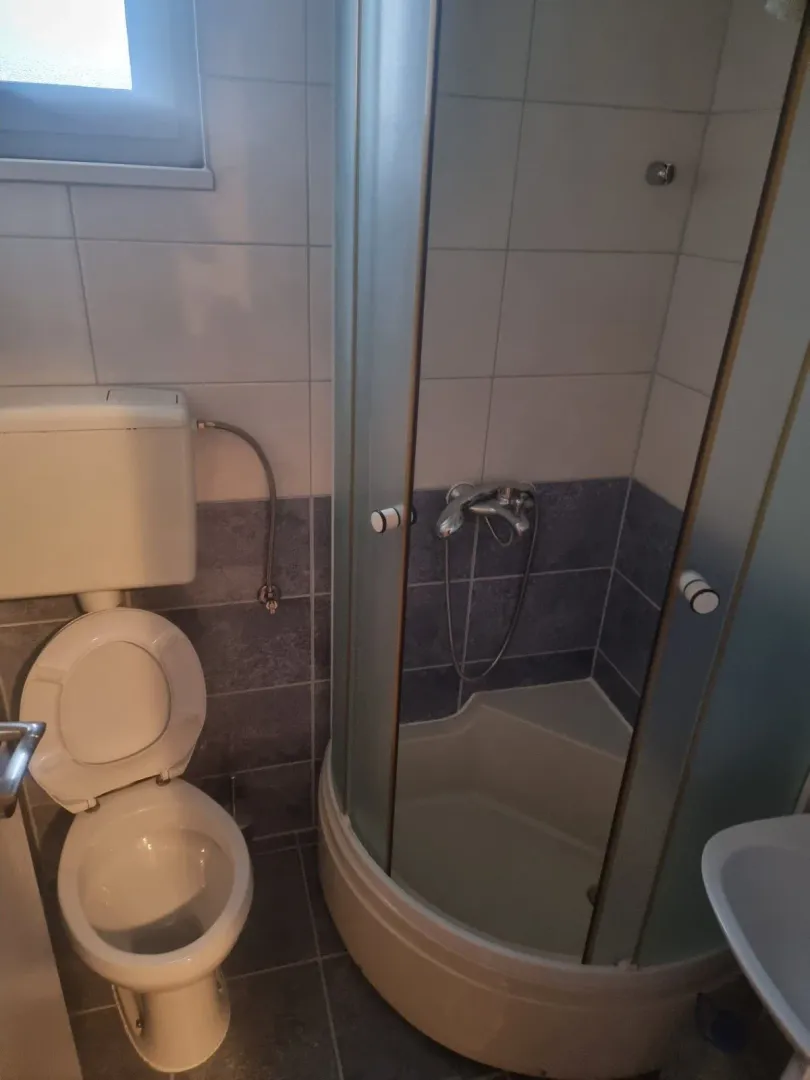 Manje kupatilo sa tuš kabinom i toaletom.