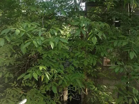 Prodaja, dvosoban stan, 48m², Julino Brdo, Beograd - image 19