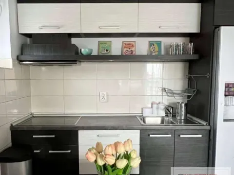 Izdavanje, jednosoban stan, 43m², Bulevar Oslobodjenja, Novi Sad Sve Podlokacije - image 3