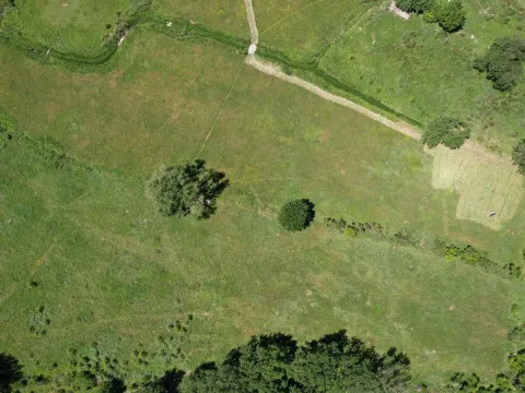 Sale, land lot, 7388m², Buljarica, Budva - image 12