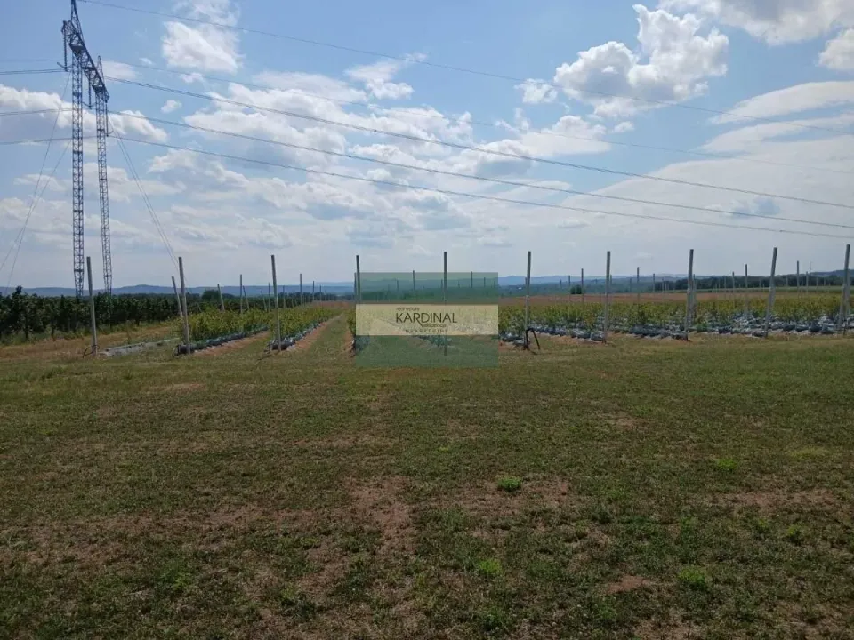 Prodaja, plac, 285100m², Medjureč, Jagodina