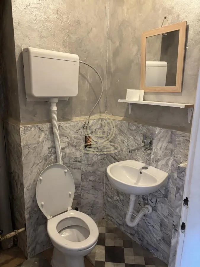 Smaller bathroom with toilet, washbasin and mirror.