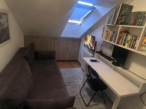 Rent, one bedroom apartment, 40m², Podbara, Novi Sad Sve Podlokacije - image 11