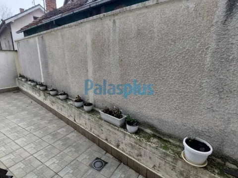 Izdavanje, jednosoban stan, 31m², Olimp, Zvezdara Sve Podlokacije - image 10