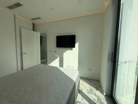 Rent, house, 180m², Sremska Kamenica, Petrovaradin - image 21