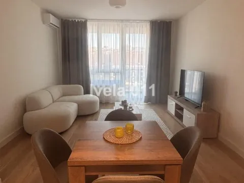 Izdavanje, dvosoban stan, 55m², Savski Venac, Beograd - image 4