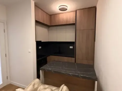 Rent, one bedroom apartment, 47m², Central Point, Podgorica - image 3