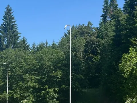 Sale, land lot, 10000m², Bare, Kolašin - image 4