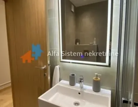 Izdavanje, dvosoban stan, 45m², Južni Bulevar, Vračar Sve Podlokacije - image 14