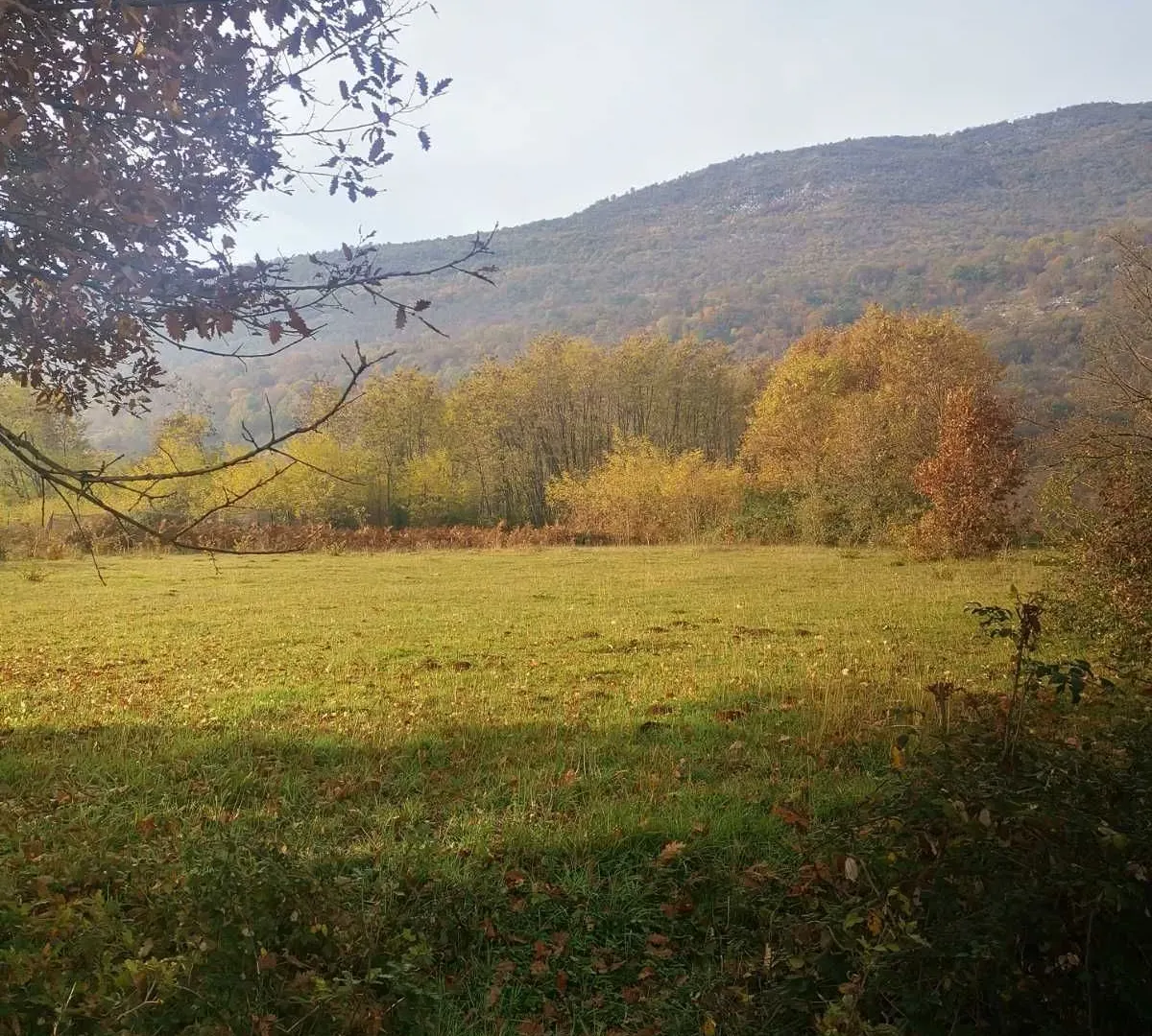 Prodaja, plac, 2494m², Danilovgrad, Crna Gora