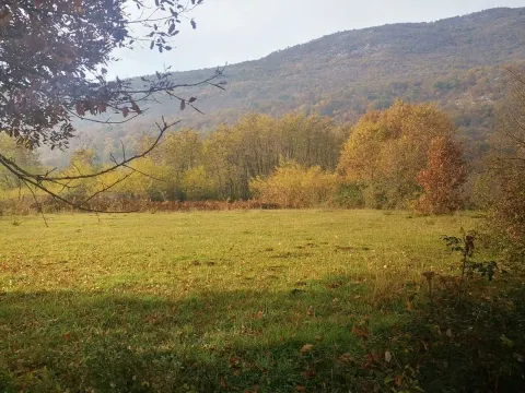 Prodaja, plac, 2494m², Danilovgrad, Crna Gora - image 2