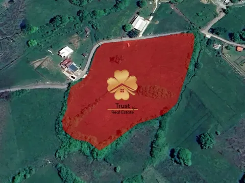 Prodaja, plac, 2500m², Crnci, Podgorica - image 1