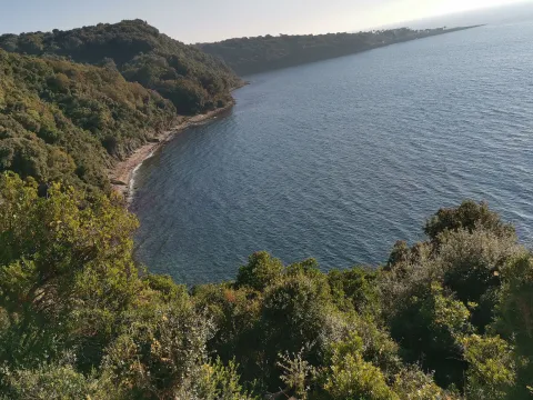 Prodaja, plac, 360m², Dobre Vode, Bar - image 2