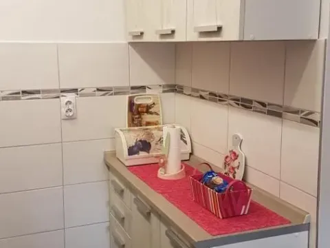 Izdavanje, dvosoban stan, 55m², Betanija, Novi Sad Sve Podlokacije - image 15