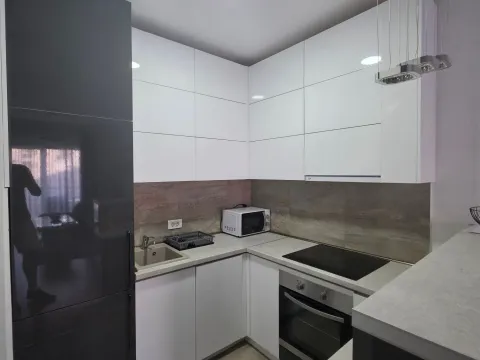 Rent, one bedroom apartment, 47m², Ljubović, Podgorica - image 3
