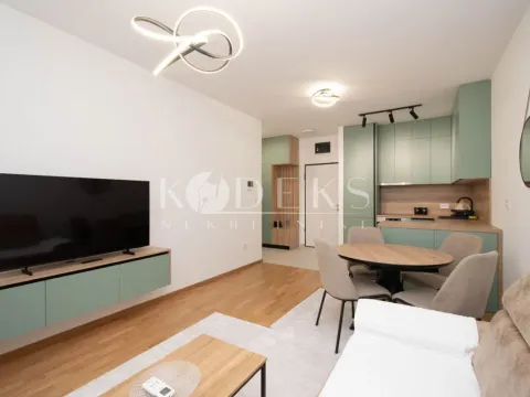 Rent, one bedroom apartment, 48m², Stari Aerodrom, Podgorica - image 3