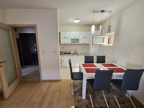 Rent, one bedroom apartment, 47m², Autobuska stanica, Podgorica - image 3