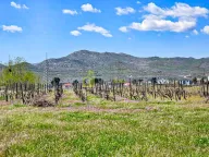 Prodaja, plac, 890m², Dajbabe, Podgorica - image 2