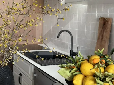 Rent, one bedroom apartment, 62m², Preko Morače, Podgorica - image 3