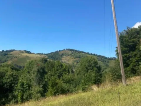 Sale, land lot, 157000m², Padež, Kolašin - image 2