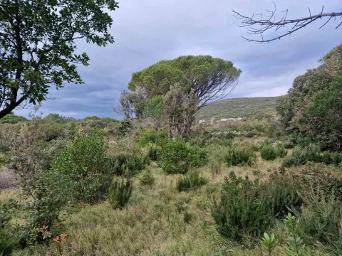 Prodaja, plac, 930m², Zagora, Kotor - image 10