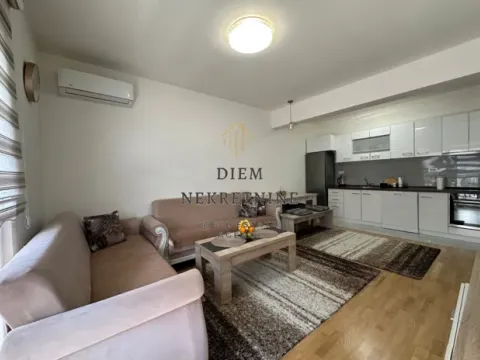 Izdavanje, jednosoban stan, 50m², Stara Varoš, Podgorica - image 8
