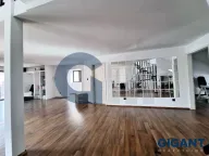 Sale, four bedroom apartment, 167m², Vračar Hram, Vračar Sve Podlokacije - image 5