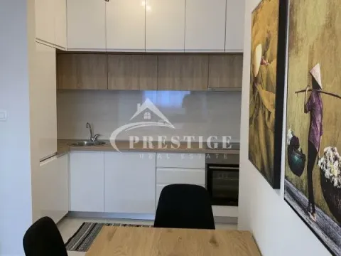 Izdavanje, jednosoban stan, 47m², Central Point, Podgorica - image 6