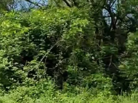 Izdavanje, plac, 2401m², Podgorica, Crna Gora - image 12