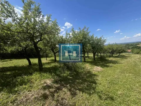 Sale, house, 60m², Majur, Jagodina - image 10