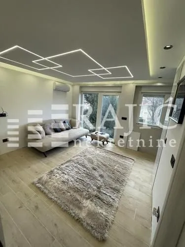 Living room with a sofa, rug, and modern ceiling lighting.