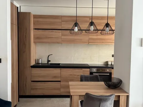 Rent, two bedroom apartment, 40m², Južni Bulevar, Vračar Sve Podlokacije - image 2