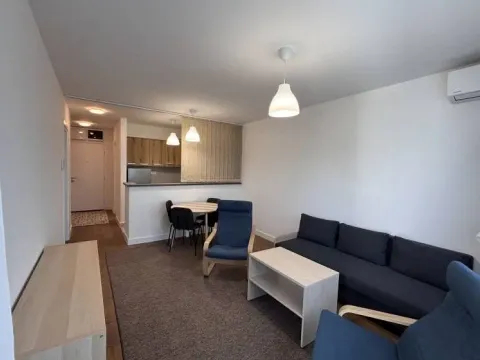 Izdavanje, dvosoban stan, 49m², Zemun Kalvarija, Zemun Sve Podlokacije - image 3