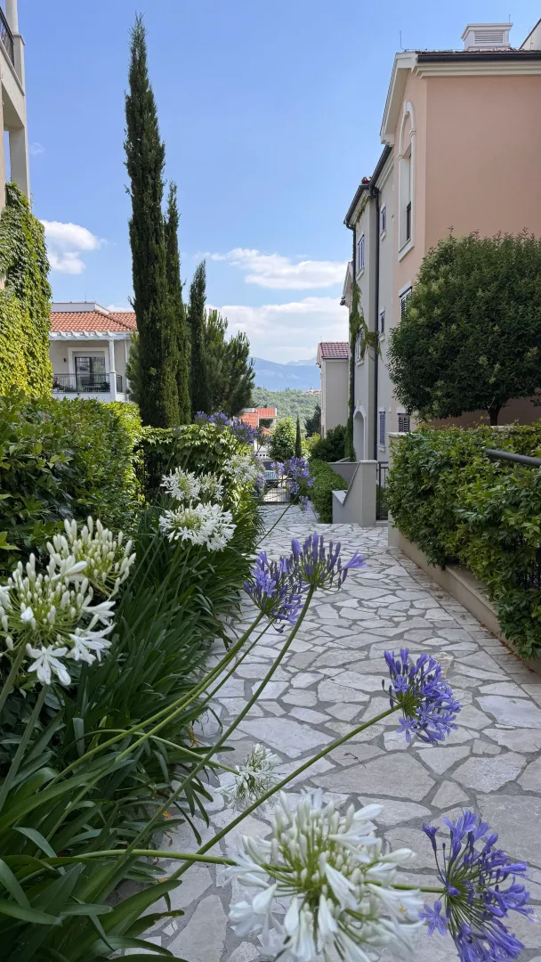 Rent, one bedroom apartment, 56m², Luštica Bay, Tivat