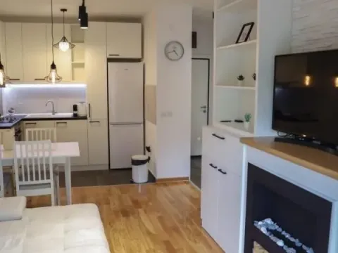 Izdavanje, jednosoban stan, 43m², Južni Bulevar, Vračar Sve Podlokacije - image 4